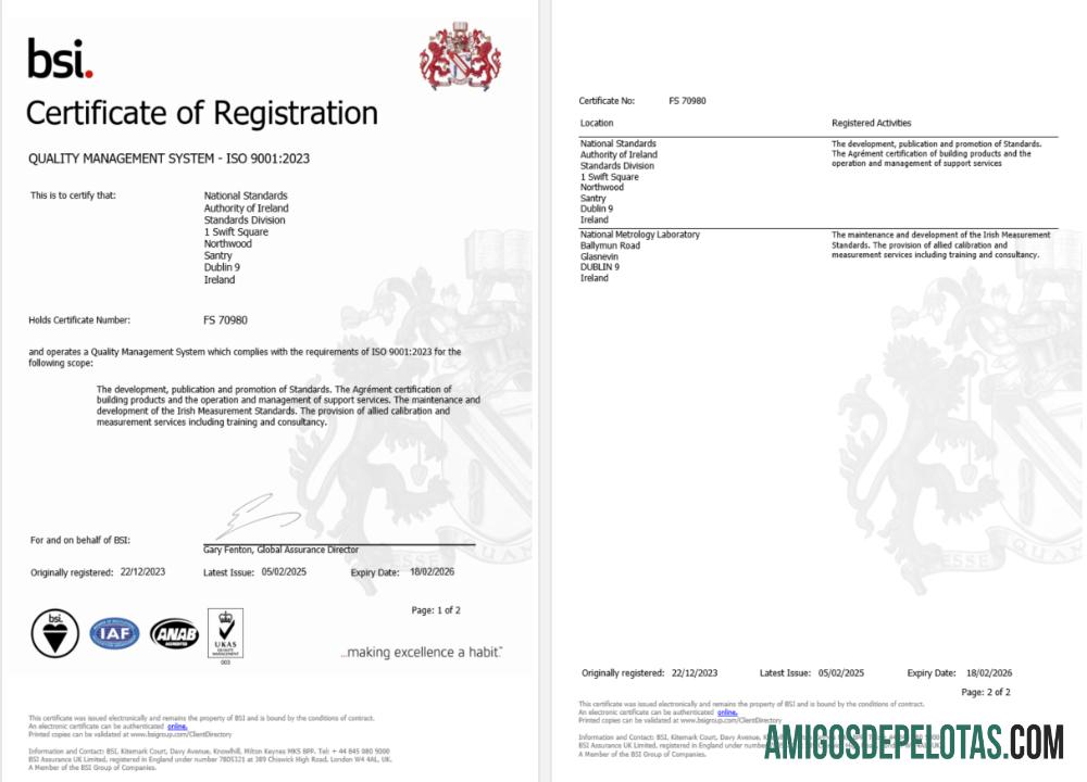 em branco Irlanda Dublin Certificado de registro BSI modelo Word e PDF